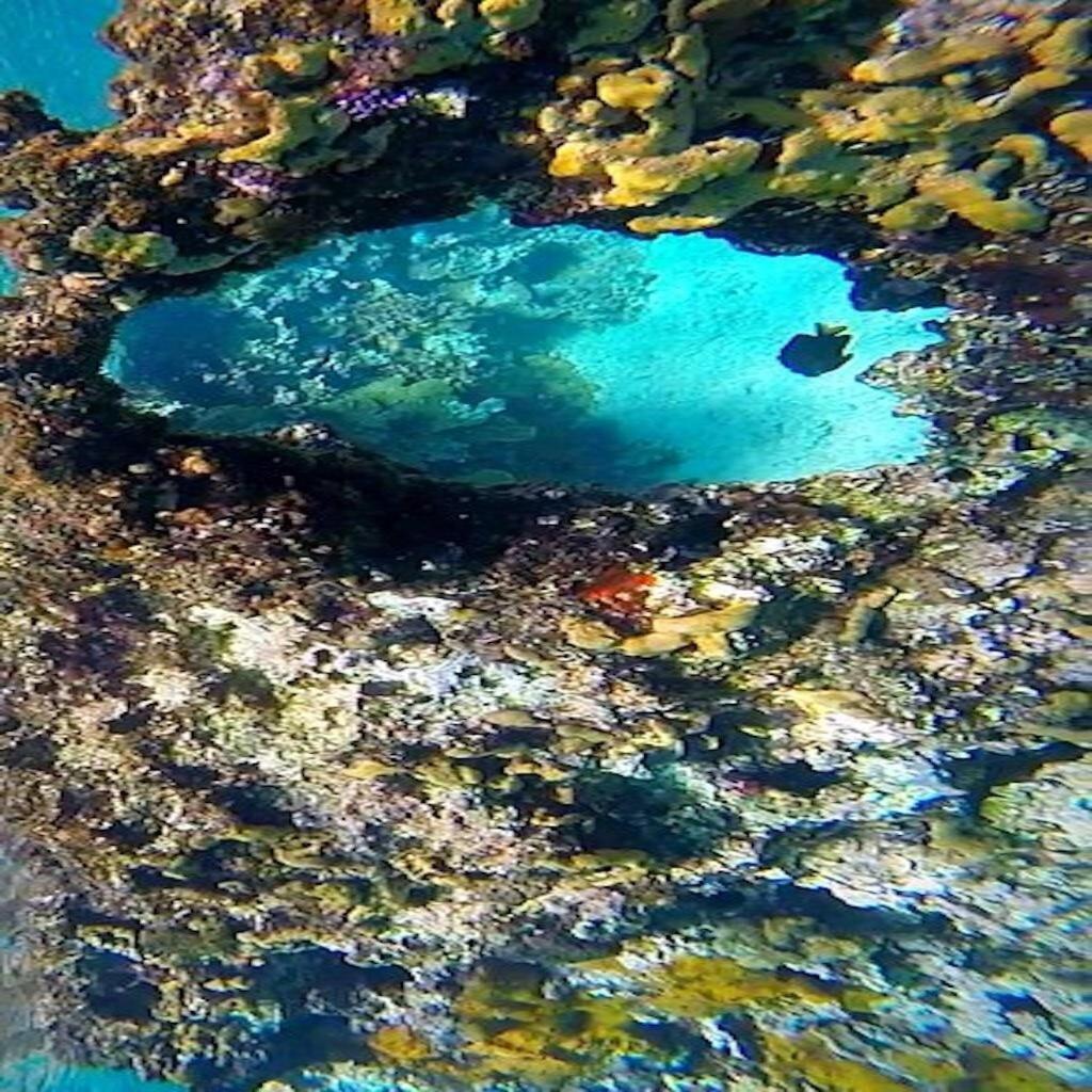 Condumel Lejlighed Cozumel Eksteriør billede