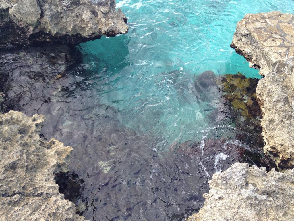 Condumel Lejlighed Cozumel Værelse billede